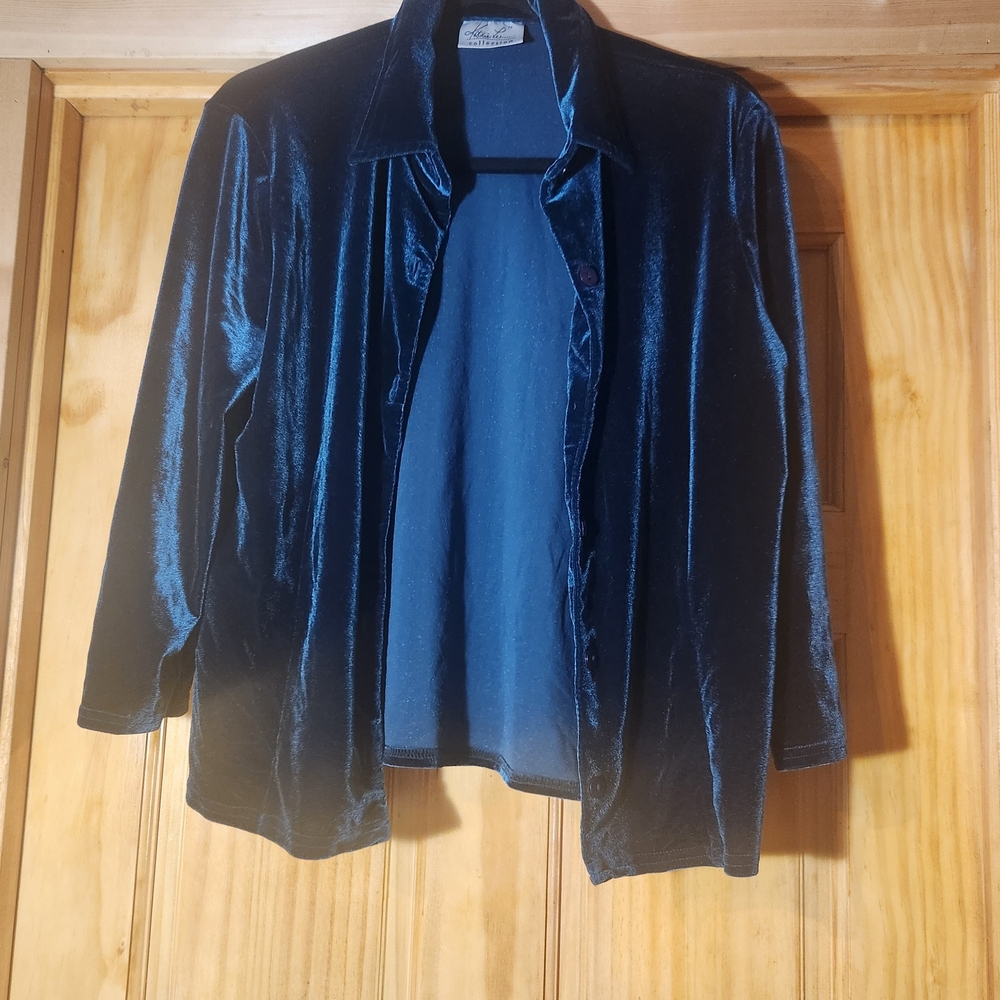 ⭐️Kathie Lee Collection Velvet Blouse in Deep Green Size Large Festival Elegant